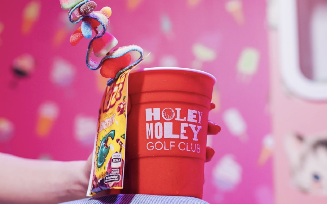 Perfect School  Holiday Activity- Holey Moley